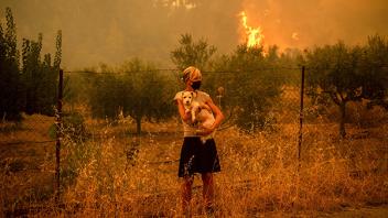 Kvinde med hund fanget i skovbrand