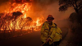 Brandmand slukker skovbrand
