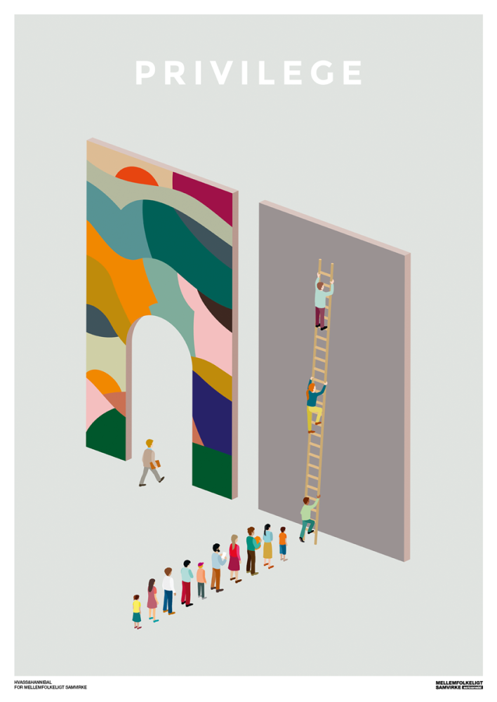 Plakat - Privilege